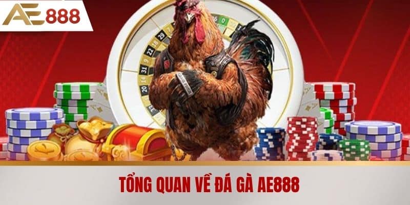 Tổng quan về Đá gà AE888