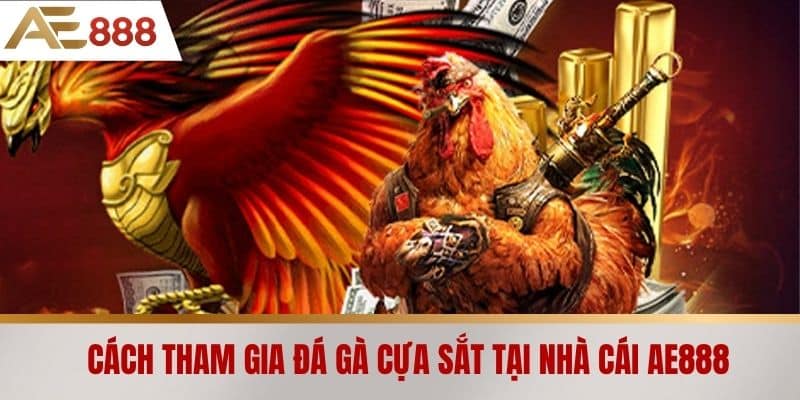 Cách tham gia đá gà cựa sắt tại nhà cái AE888
