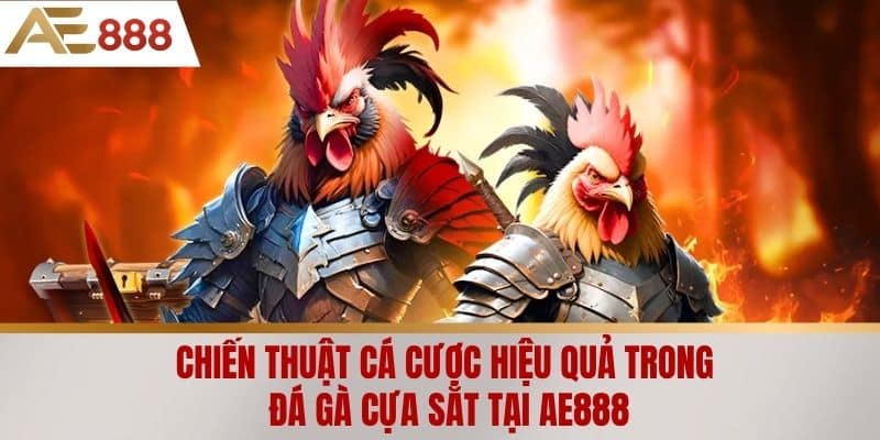 Chiến thuật cá cược hiệu quả trong đá gà cựa sắt tại AE888