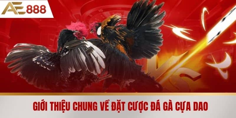 Giới thiệu chung về đặt cược đá gà cựa dao