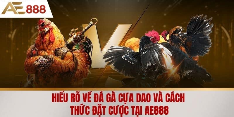 Hiểu rõ về đá gà cựa dao và cách thức đặt cược tại AE888
