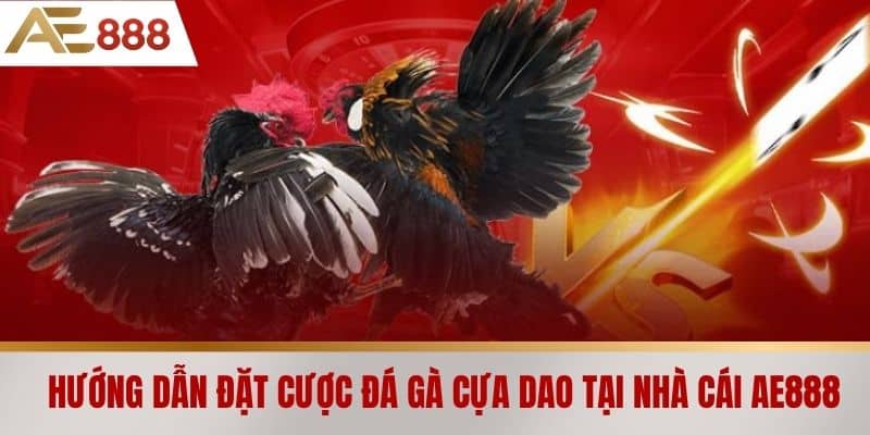 Hướng dẫn đặt cược đá gà cựa dao tại nhà cái AE888