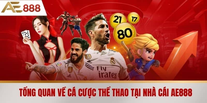 Tổng quan về cá cược thể thao tại nhà cái AE888