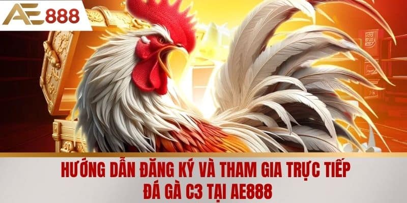 Hướng dẫn đăng ký và tham gia trực tiếp đá gà C3 tại AE888