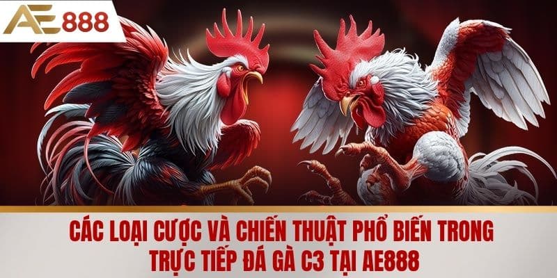 Các loại cược và chiến thuật phổ biến trong trực tiếp đá gà C3 tại AE888