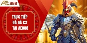 Trực Tiếp Đá Gà C3 Tại AE888 – Kết Quả Nhanh, Chuẩn Xác"
