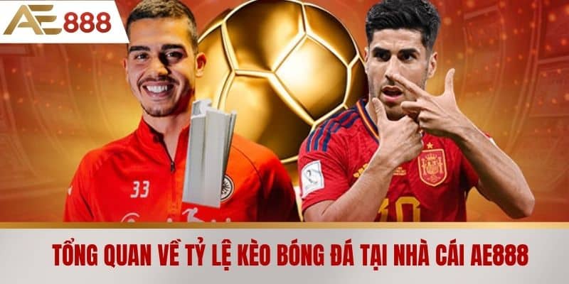 Tổng quan về tỷ lệ kèo bóng đá tại nhà cái AE888